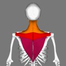 중부한의원 이미지