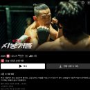 지민49 | 벚꽃 시즌 시사 교양 방송작가 일상