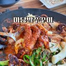 마당발쭈꾸미 이미지