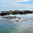 오도리 간이해수욕장 공중화장실 이미지