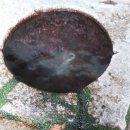 백수탕
