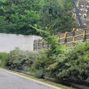 국도22호선 이미지