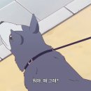 제이로하