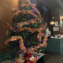 반석서로 | 대전 반석동 고깃집 셀프바 있는 신촌곳간 방문 후기