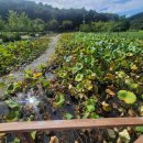 다솔관광농원 이미지