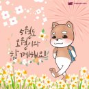 샨티요가 - 평택시 여술로43번길 11 | 샨티요가