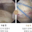 위라이브병원 이미지