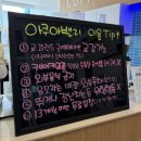 대구 동성로 아쿠아밸리 블루 라운지 실내동물원 아쿠아리움 이색데이트 체험카페 내돈내산 후기