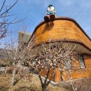 산마루어린이공원 | 삼척 아이와 가볼만한 곳 찾는다면?｜도계 나무나라 + 피노키오 전시실 후기