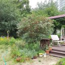 보리수미용실 이미지