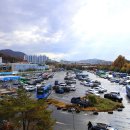 대전운수 주식회사 네이버블로그