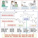 암 치료에 있어서 서플리먼트의 역할 이미지