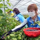 미라벨 제주 이미지