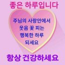 포스트 바이오 틱스의 효능 부작용 복용법 이미지