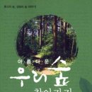 숲과 문화 네이버블로그
