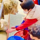 신곡 경기태권도 이미지