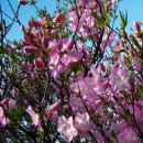 흥부골 자연휴양림 이미지