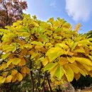 세종 행정사 사무소 이미지