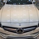 골든광택 이미지