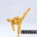 한국체대 초월 태권도장 네이버블로그