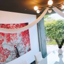 카페호 - 보령시 성주산로 673-24 | 카페호
