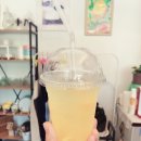 차니콩