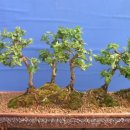 석부농장 이미지