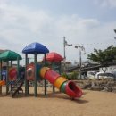 성주중앙초등학교병설유치원 이미지