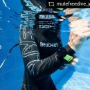 오르카수영 이미지