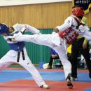 강진태권도 이미지