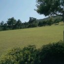 약천 산책로 이미지