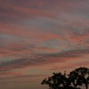 하도여관 이미지