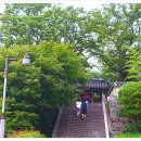 자암 김구비 이미지
