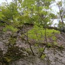 노고단-5 이미지