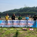 하천(갑천5) 이미지