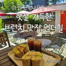 아산 은행나무길 카페, 햇살 가득한 브런치 맛집 언더힐(Underhill) 방문 후기