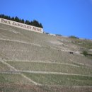 남구-097 이미지