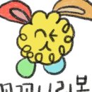 주주꼬꼬 네이버블로그
