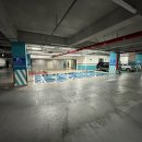 펫티 | 마곡 펫티 애견카페 다녀온 후기 (feat. 주차정보, 상주견 많음)