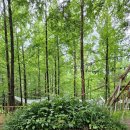 그린하우스 이미지