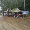 정안농장 | 공주 정안 알밤줍기 2025 / 우주농원