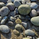 시몽다방 | [25.03] 3월이 좋아~