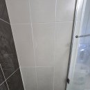 파스텔라 스튜디오 이미지