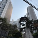 첫번째공인중개사사무소 | 석수이편한세상아파트, 단지내 공인중개사 랜선임장