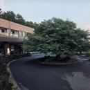 제주도게스트하우스파티 리조트 청 이미지