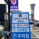 선유애견 이미지