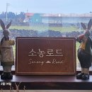 제주유기농마을 | 제주당근 당근마을 유기농당근:소농로드 방문후기