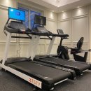 초심피티 이미지