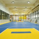 짐나지움 이미지