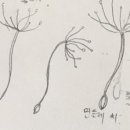 이든혜윰 이미지